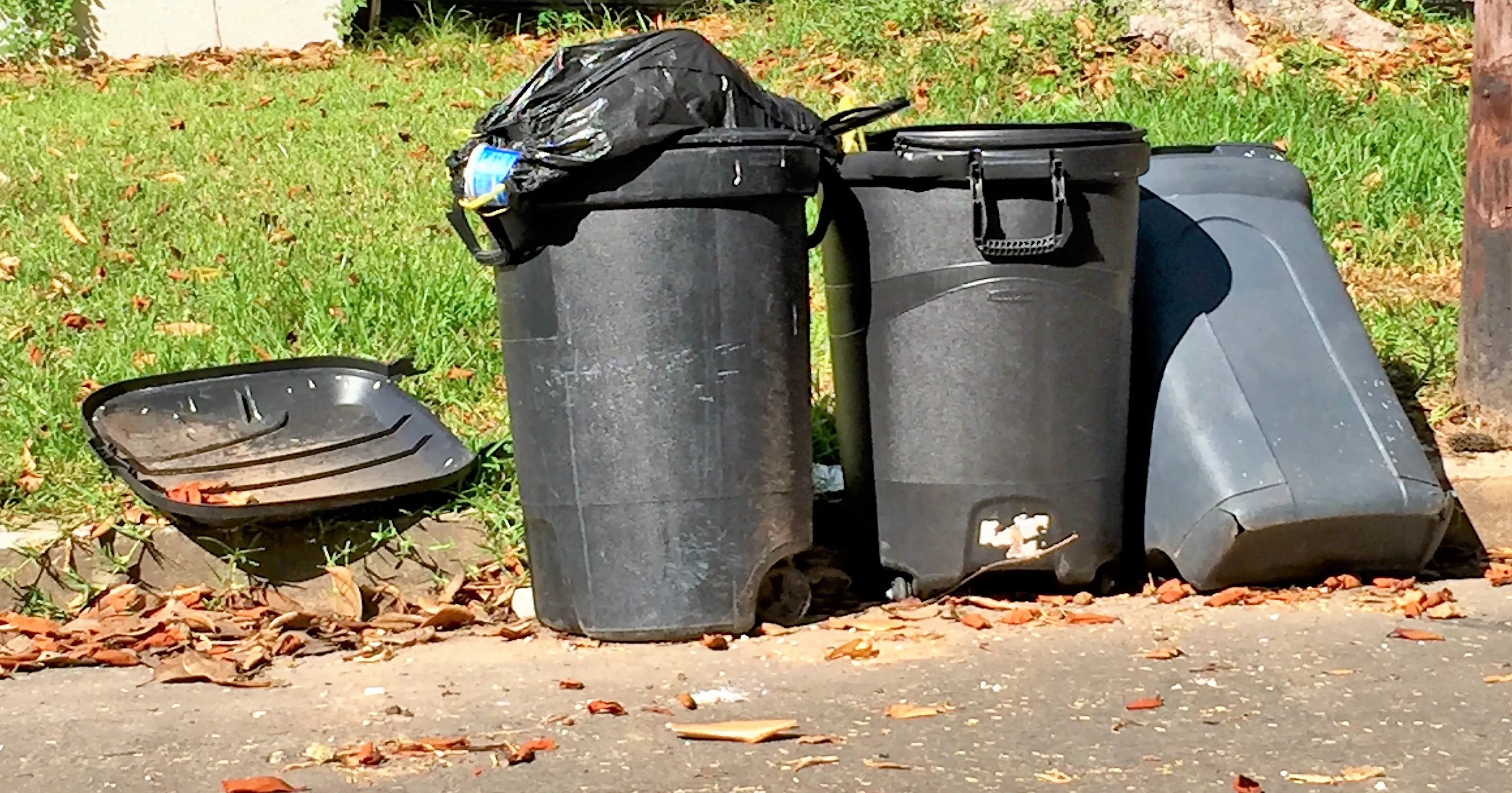 Rockin' K Waste Services
